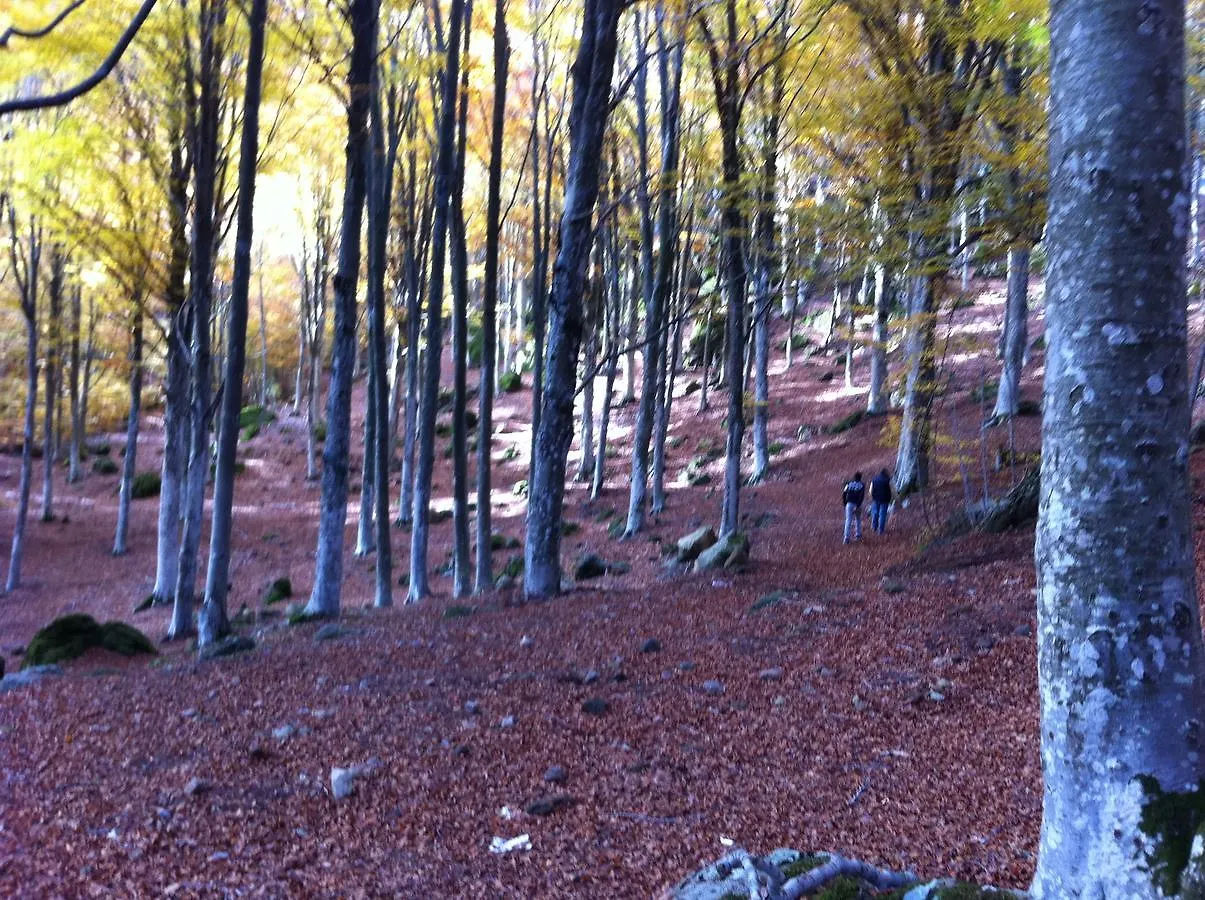 Albergo Generale Cantore - Monte Amiata Abbadia San Salvatore 3*,